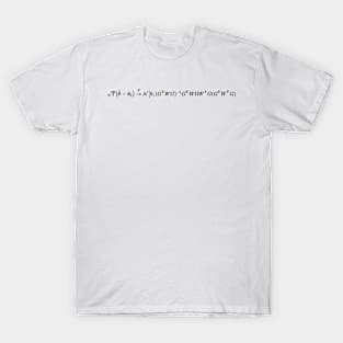 Generalized method of moments, statistics and econometrics T-Shirt